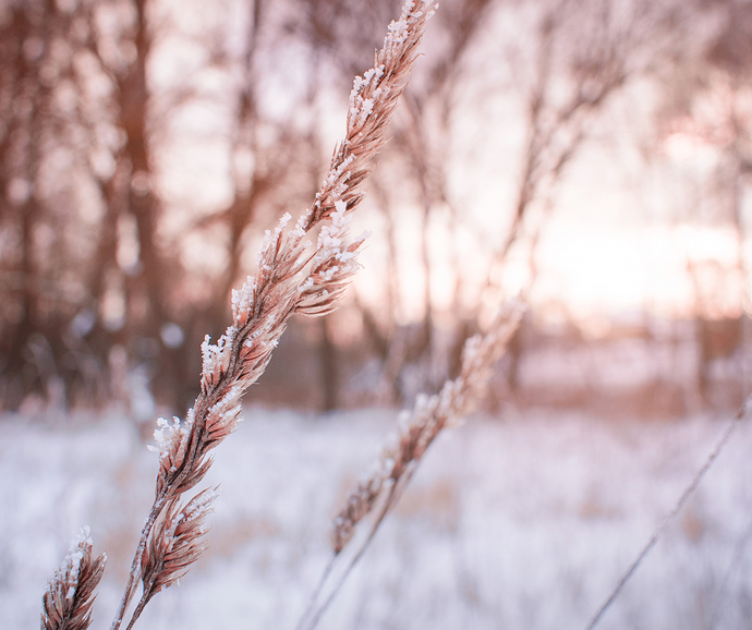 Les bienfaits du massage à domicile durant l'hiver.